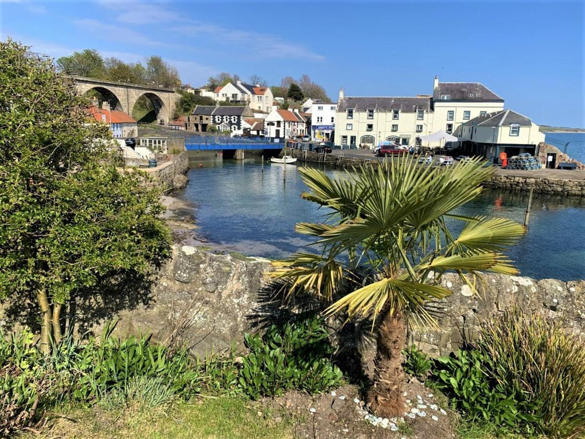 The Wee Blue House, East Neuk Villa Lower Largo Bagian luar foto
